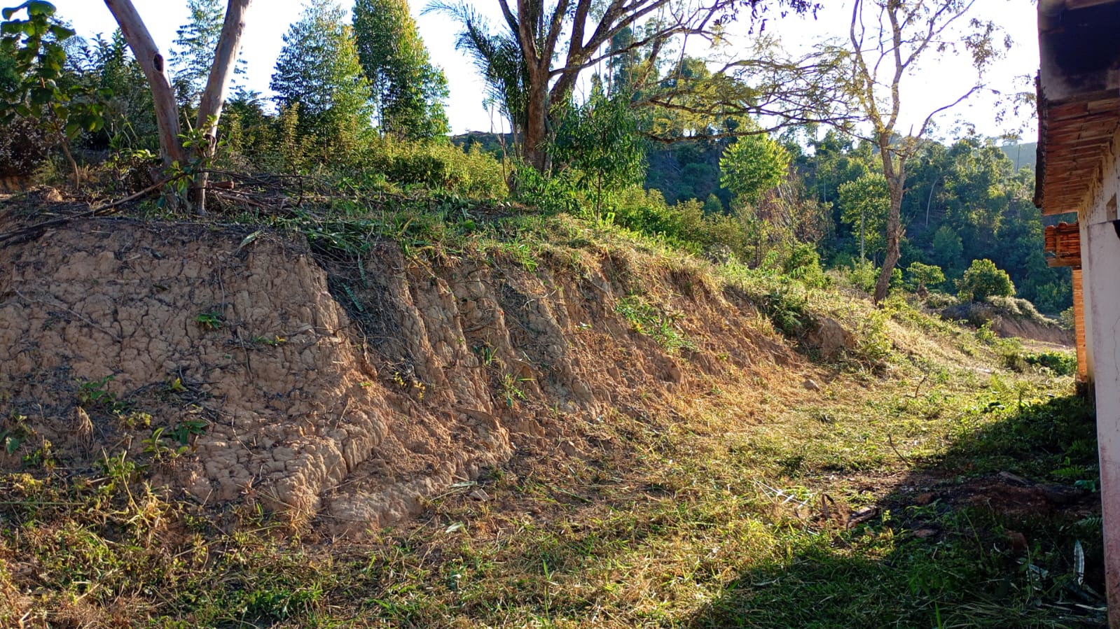 Terreno