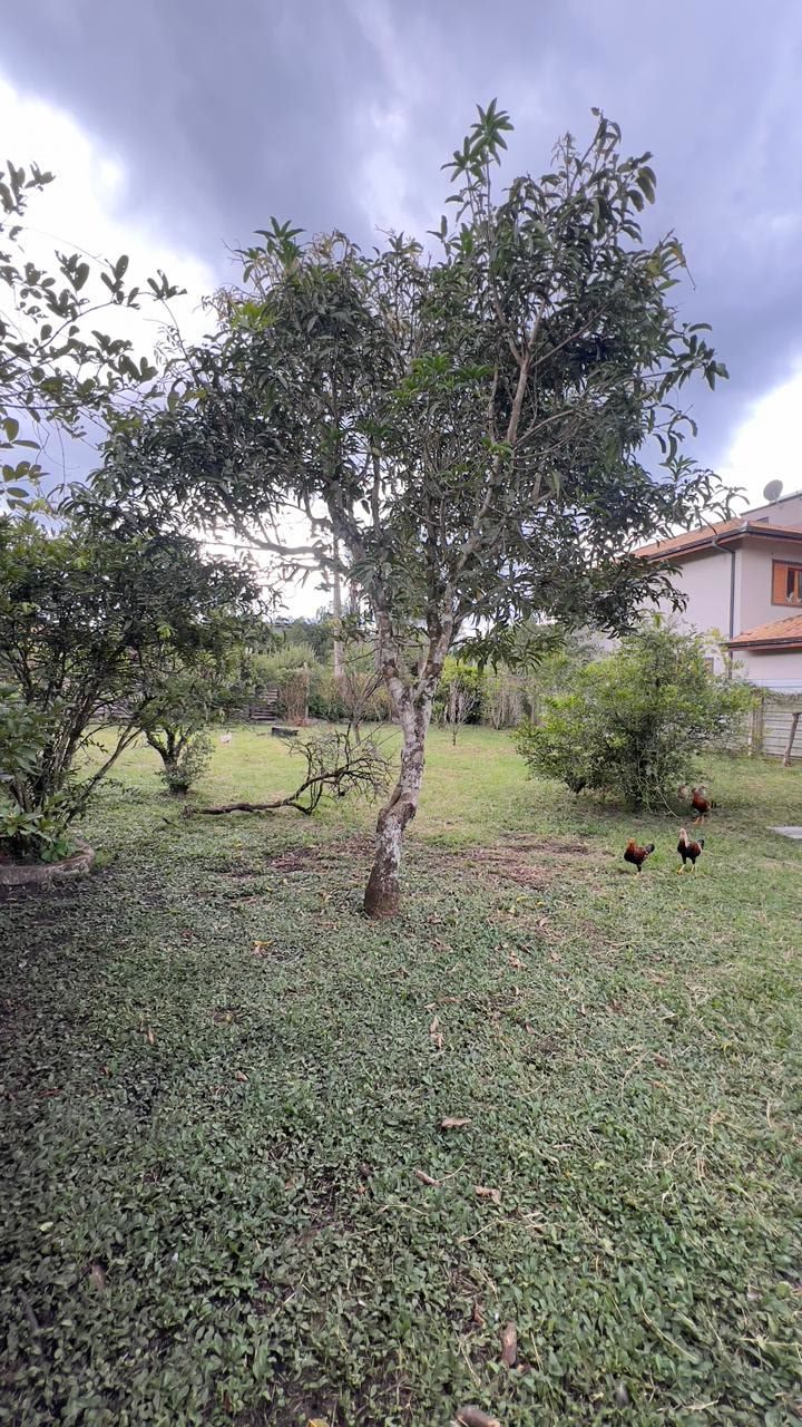 Espaço para pomar