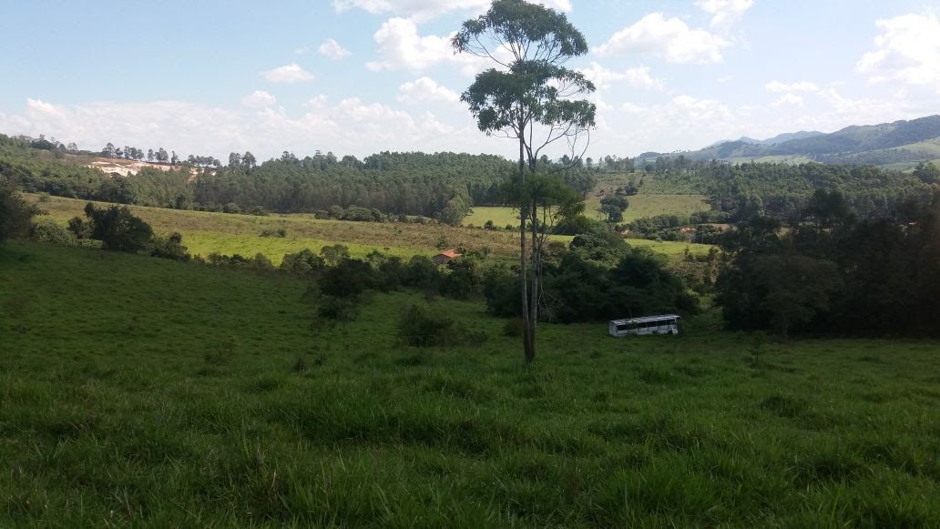 Vista panorâmica do sítio à venda em Silvianópolis, MG