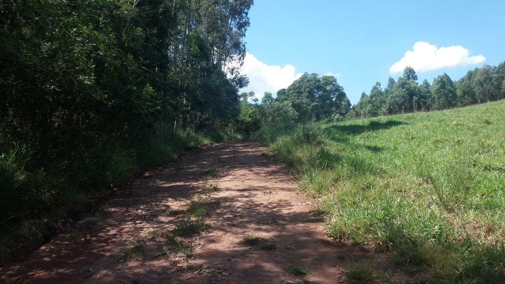 Estrada de acesso em boas condições