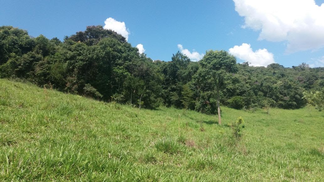 Área de pastagem, outro trecho