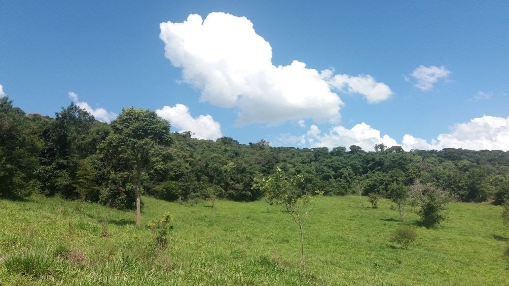Área de pastagem, outro trecho
