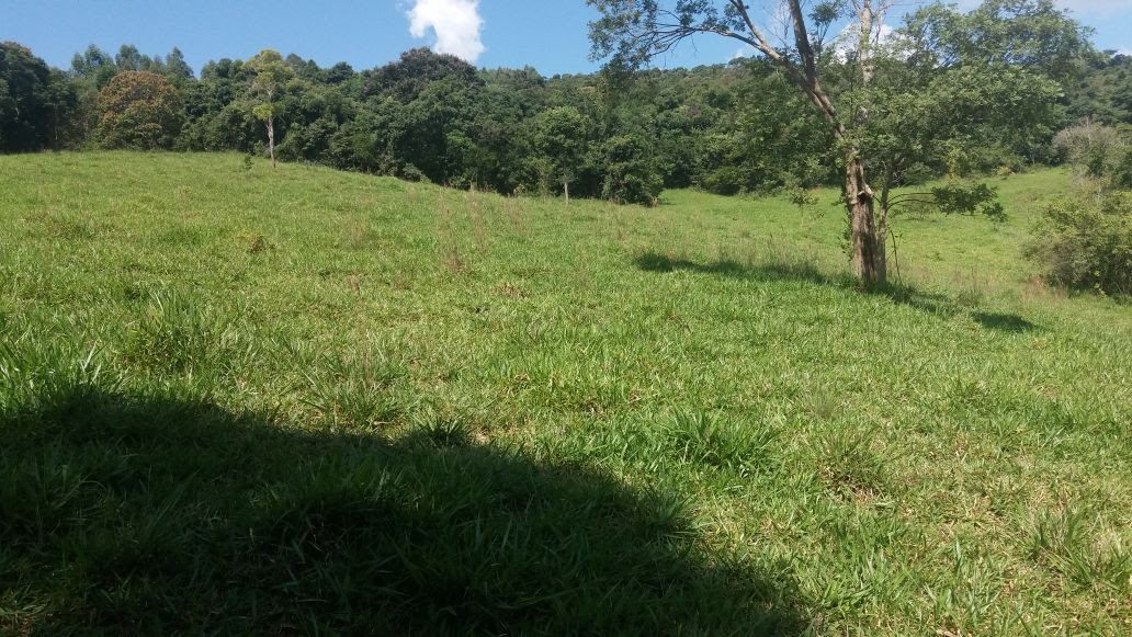 Área de pastagem, outro trecho