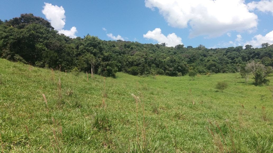 Área de pastagem, outro trecho