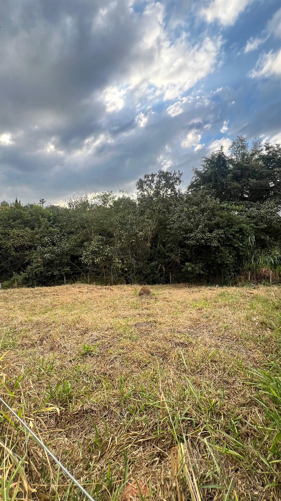 Terreno com entorno arborizado